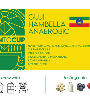 Guji Hambella Anaerobic coffee bag back view — natural anaerobic, Hambella Ethiopia