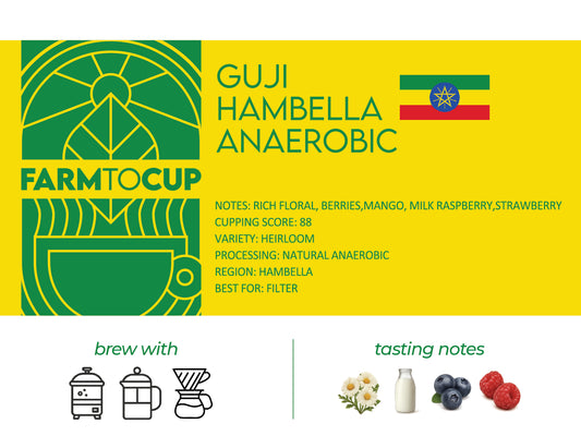 Guji Hambella Anaerobic coffee bag back view — natural anaerobic, Hambella Ethiopia