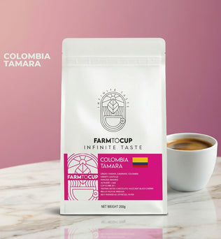 Colombia Tamara washed coffee — chocolate, hazelnut, black cherry, medium roast