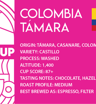 Colombia Támara coffee beans closeup — washed process, medium roast