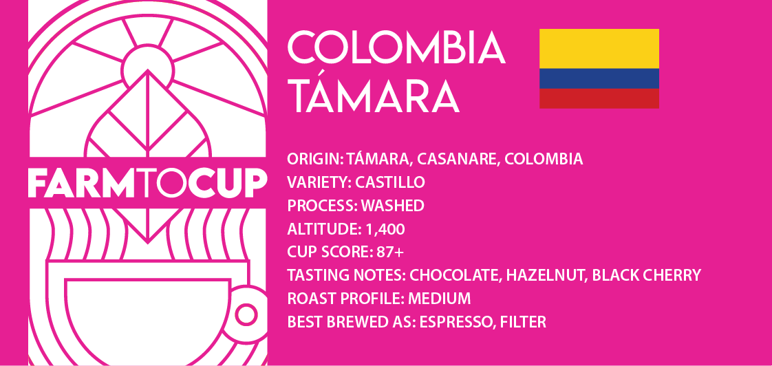Colombia Támara coffee beans closeup — washed process, medium roast