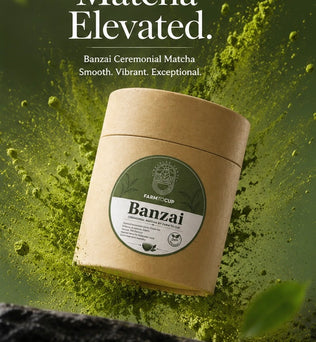 Uji Ceremonial Matcha