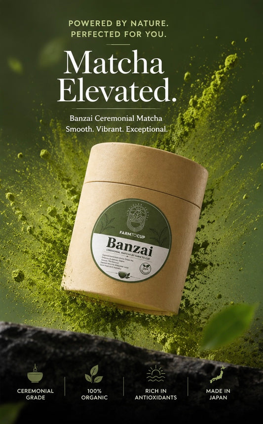 Uji Ceremonial Matcha