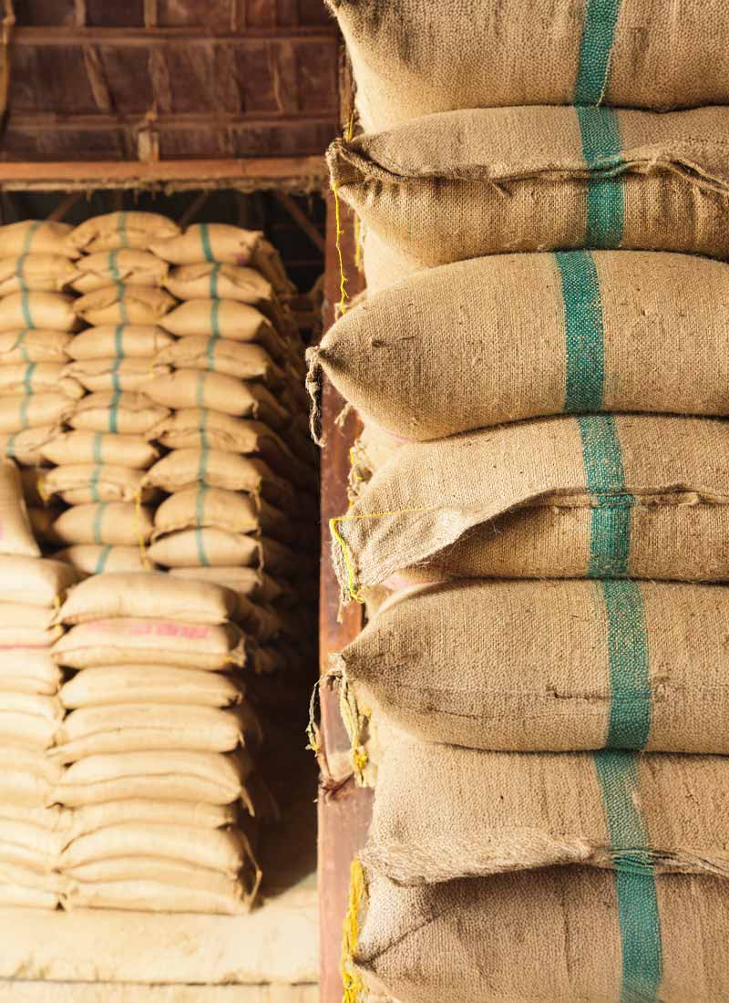 f2c website assets 3009-08